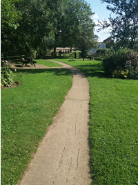 Walking and Walking for Better Wellbeing